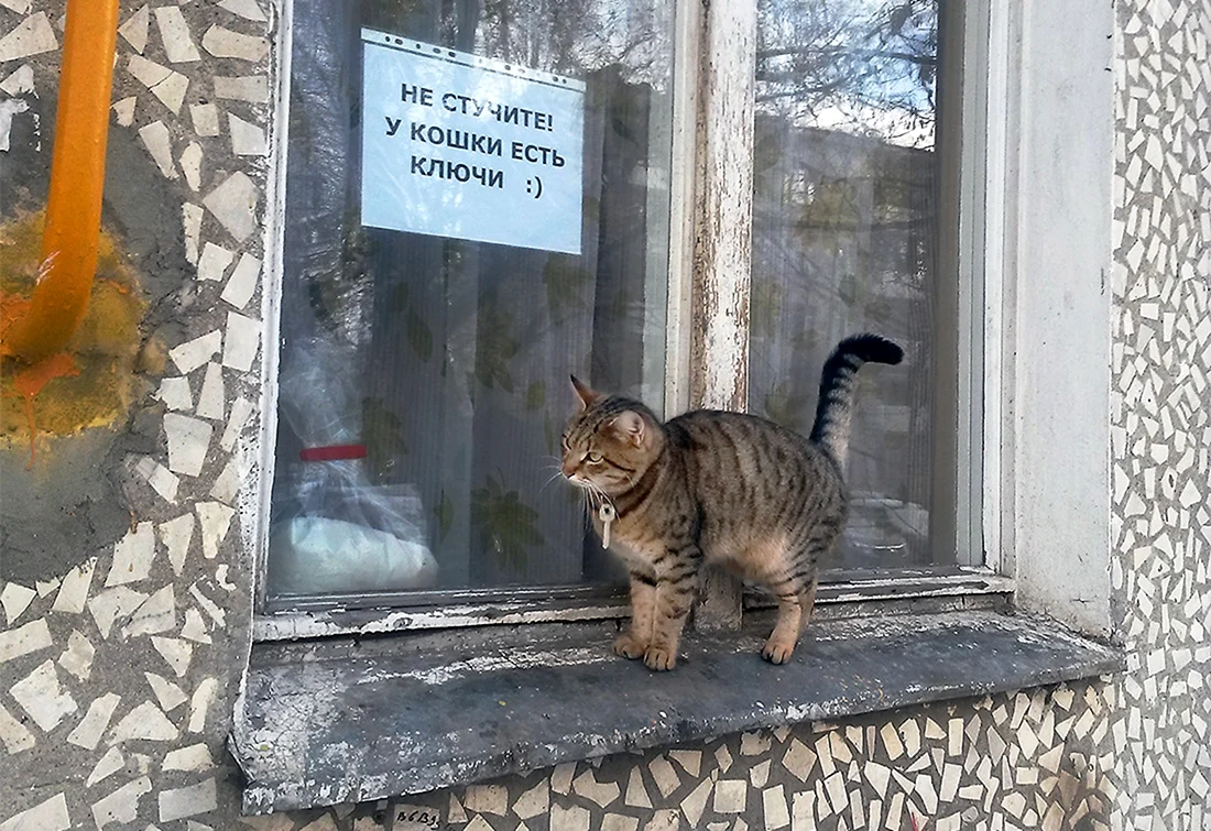 Не стучите у кошки есть ключи