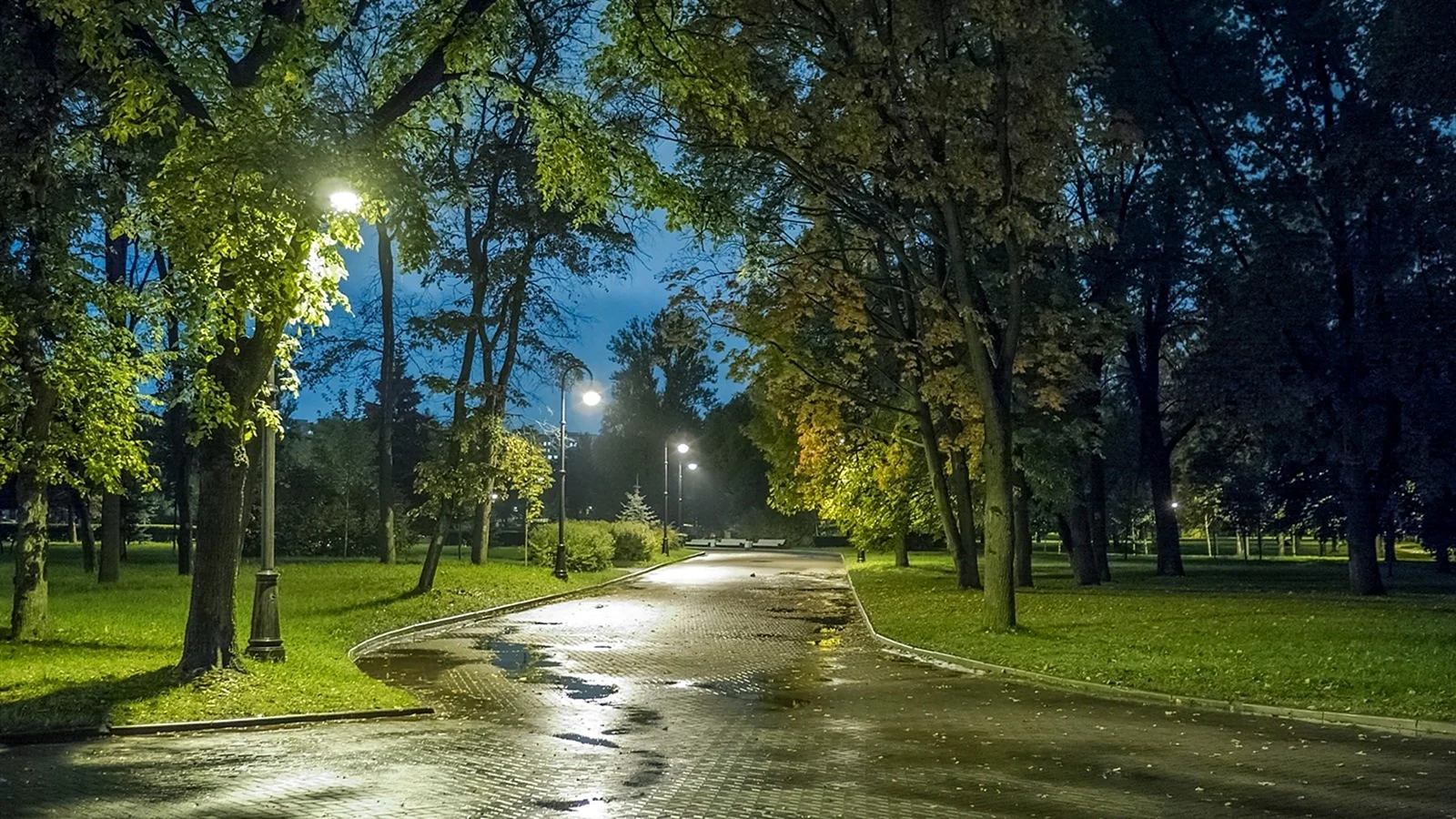 Ночной парк Санкт-Петербург