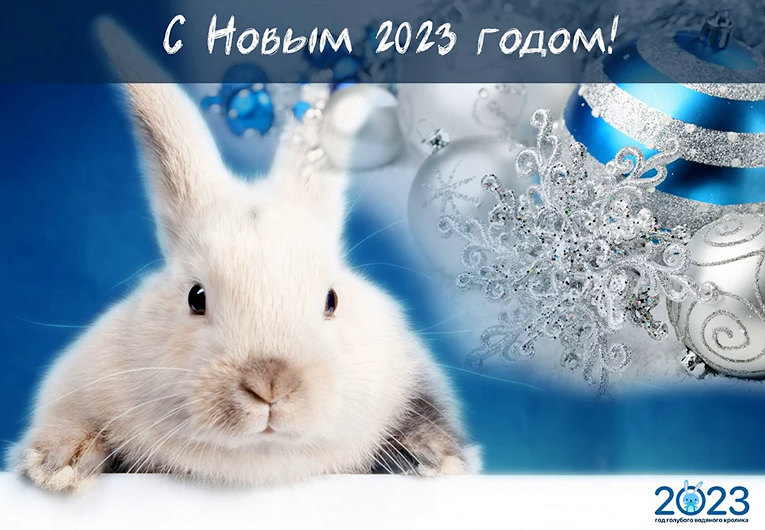 Новый год 2023 кролик