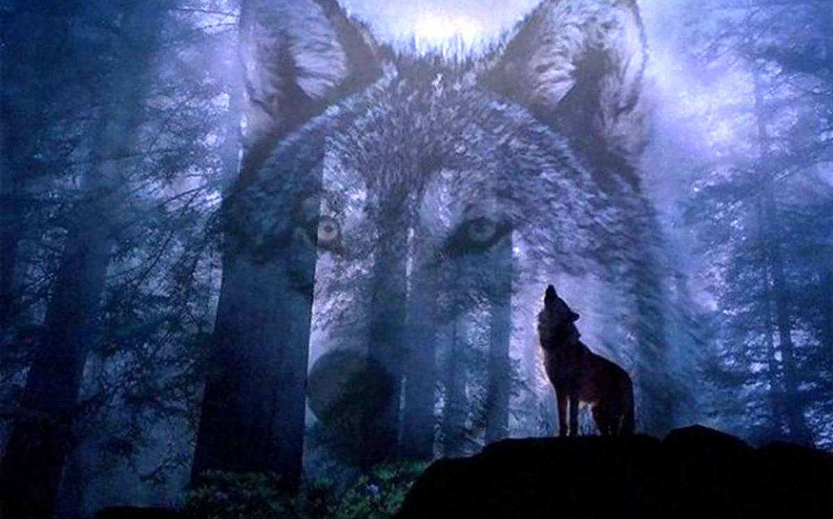 Одинокий волк в лесу