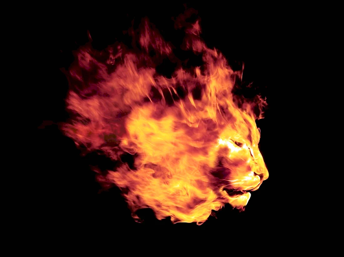 Огненная голова Льва