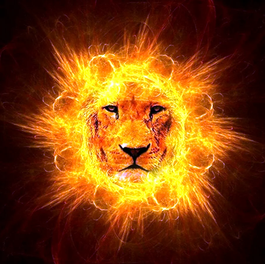 Огненный Лев картинки