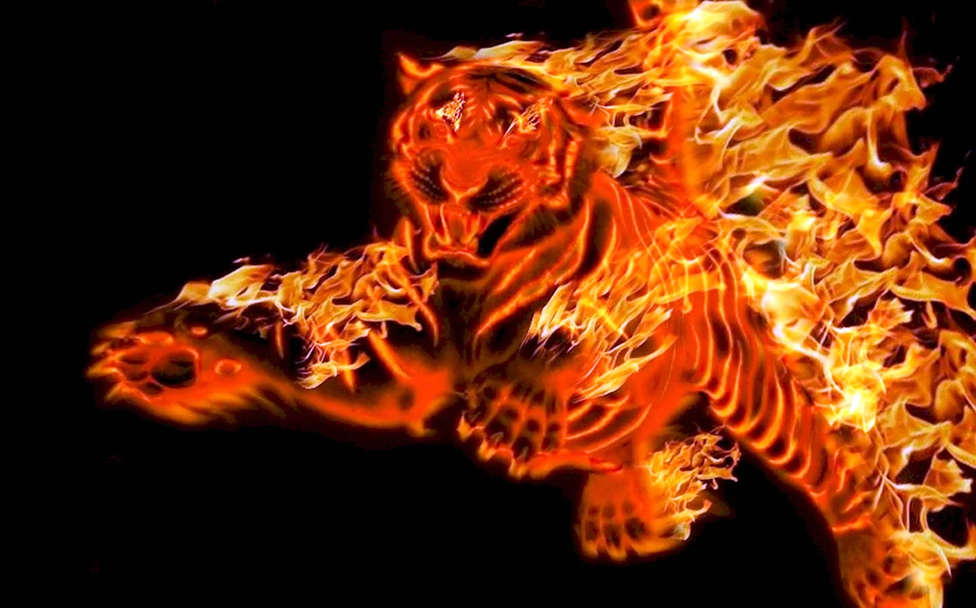 Огненный Лев Кумадори