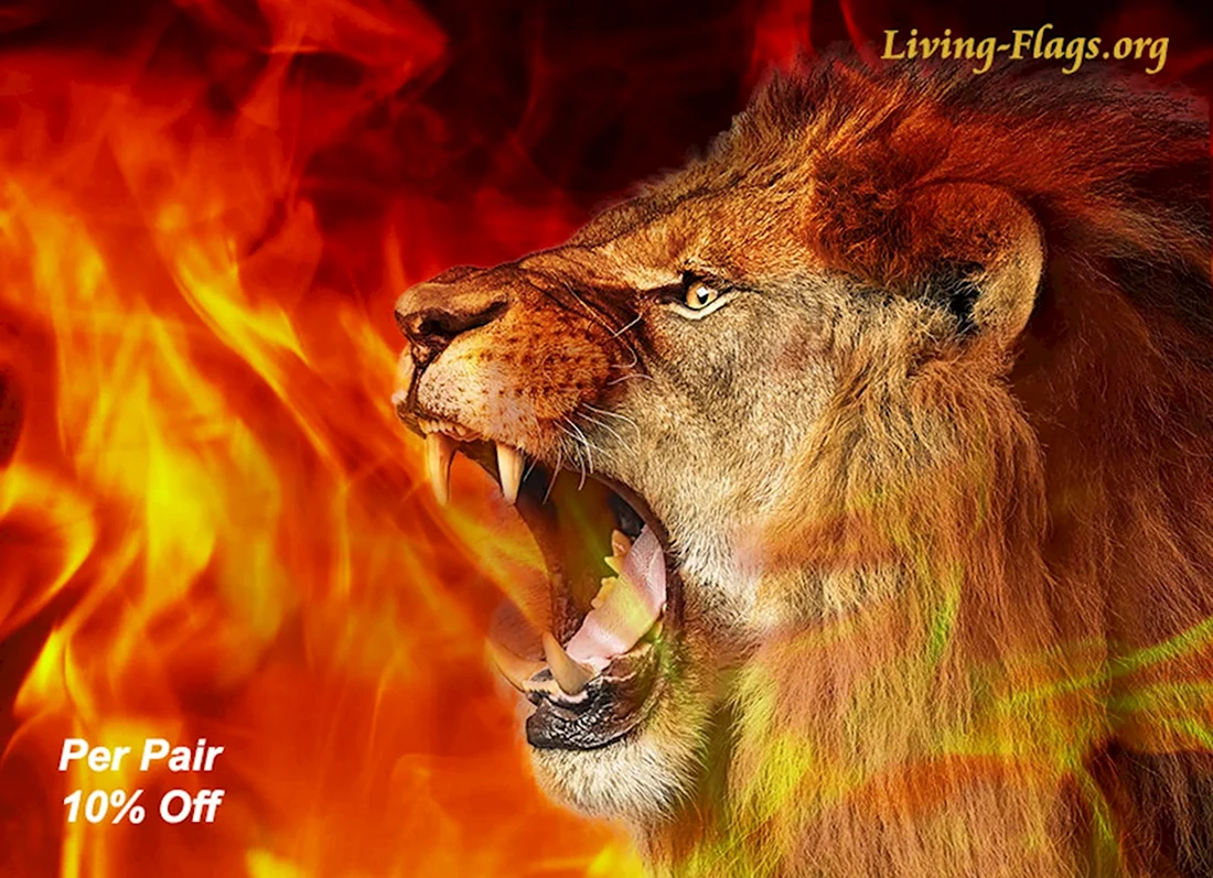 Огненный Лев в ярости