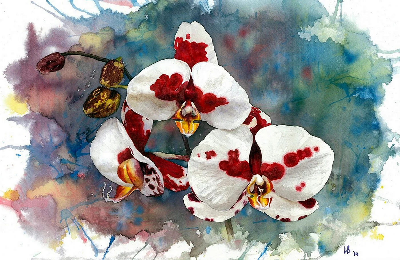 Орхидея акварель