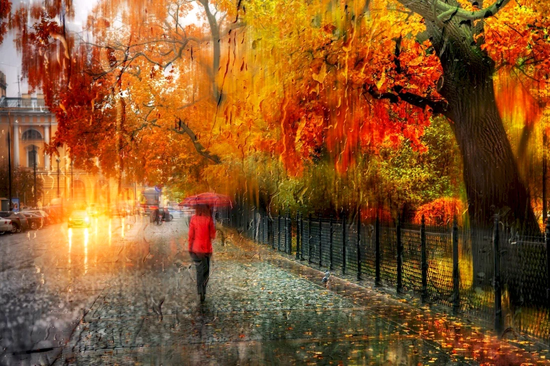 Осень в фотографиях Эдуарда Гордеева
