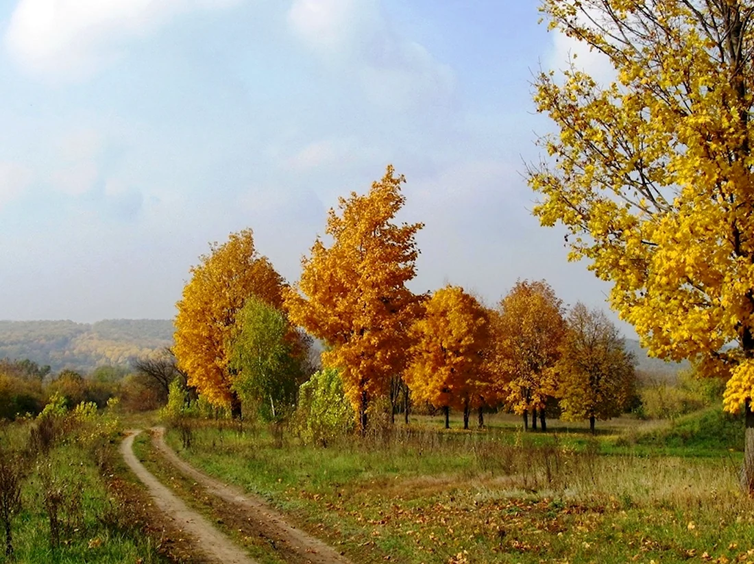 Осень Золотая Павловка Сергиевский район