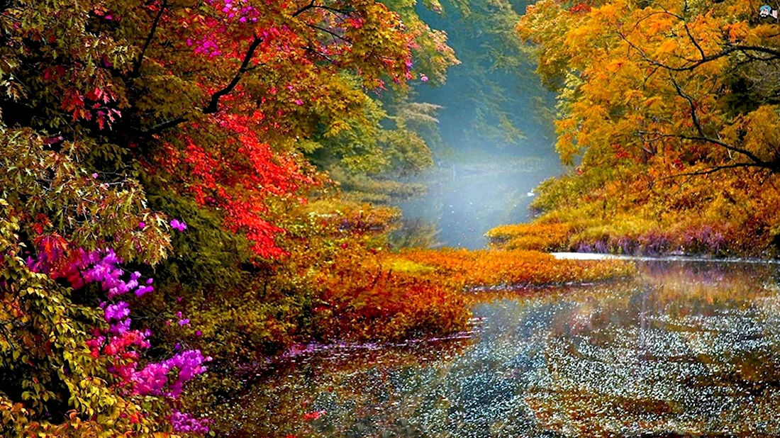 Осенняя природа