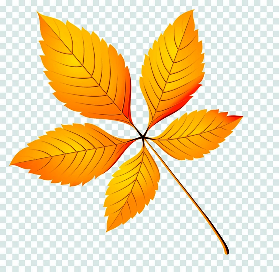 Осенние листья каштана