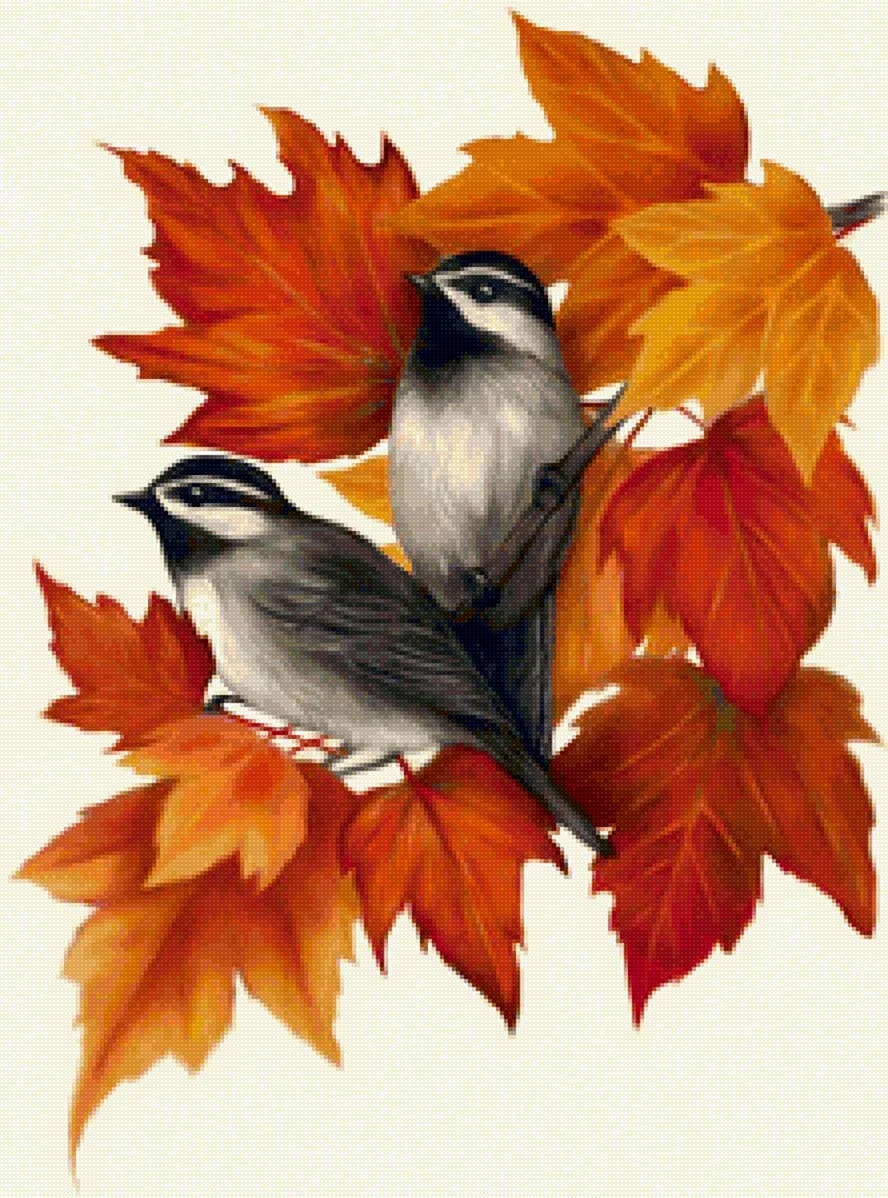Осенние птицы