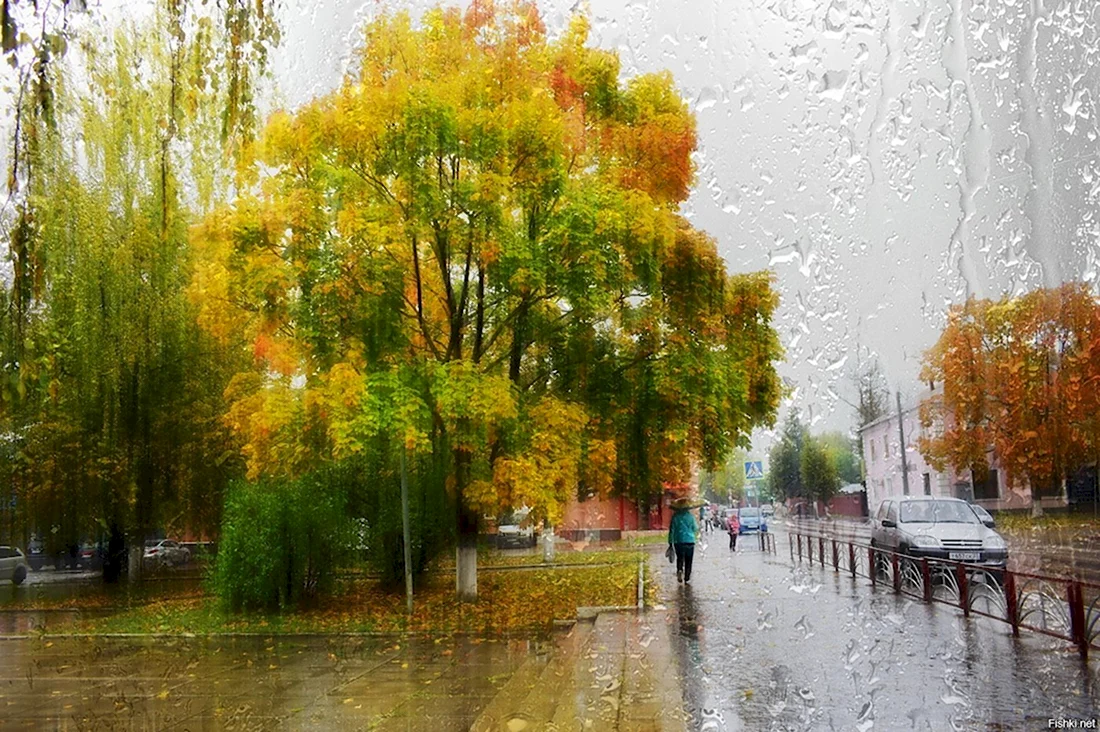 Осенний дождь