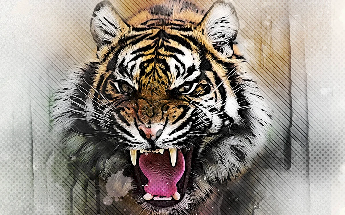 Оскал Уссурийского тигра