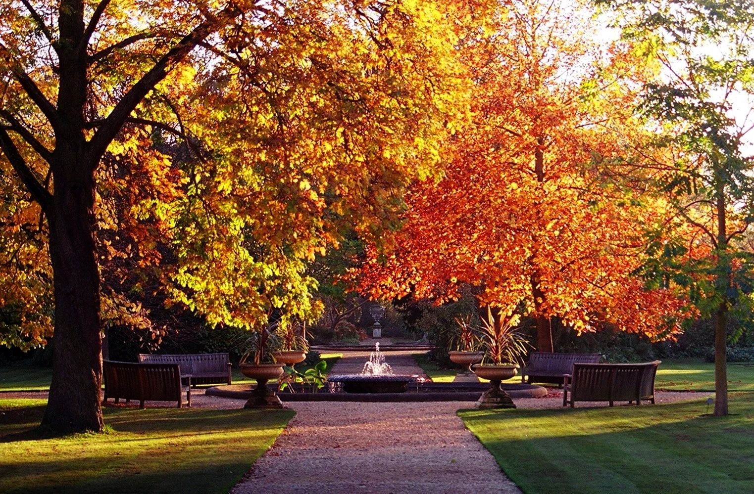 Oxford Botanic Garden in autumn