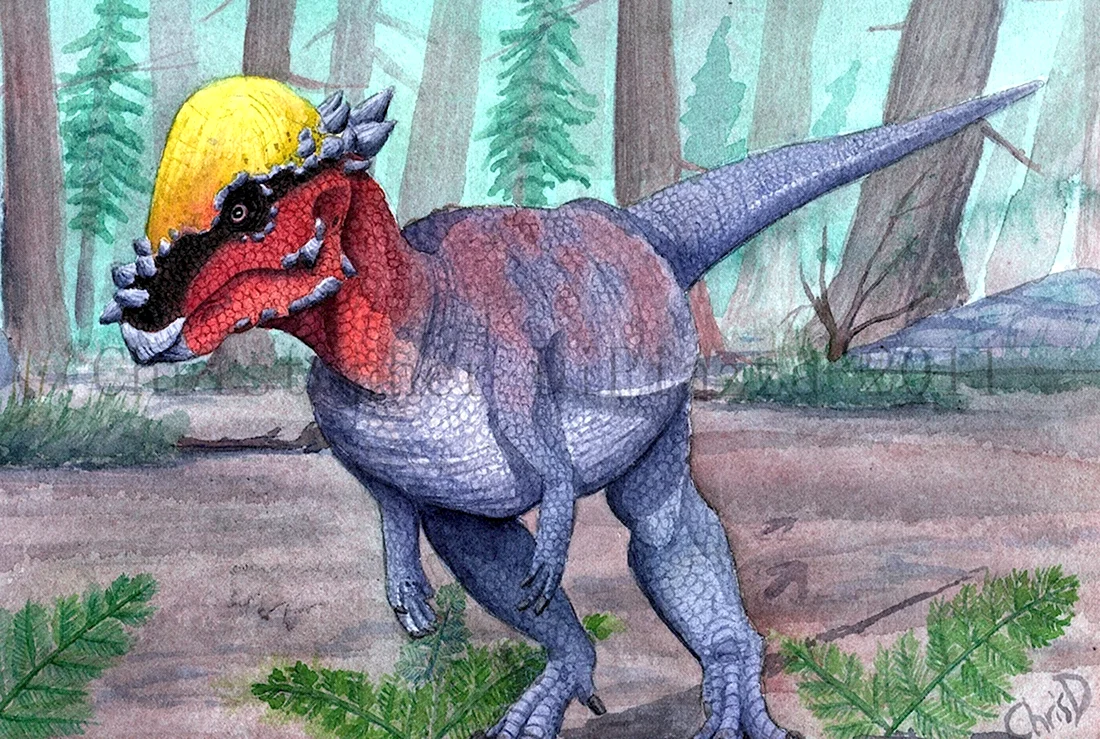 Пахицефалозавр парк Юрского периода