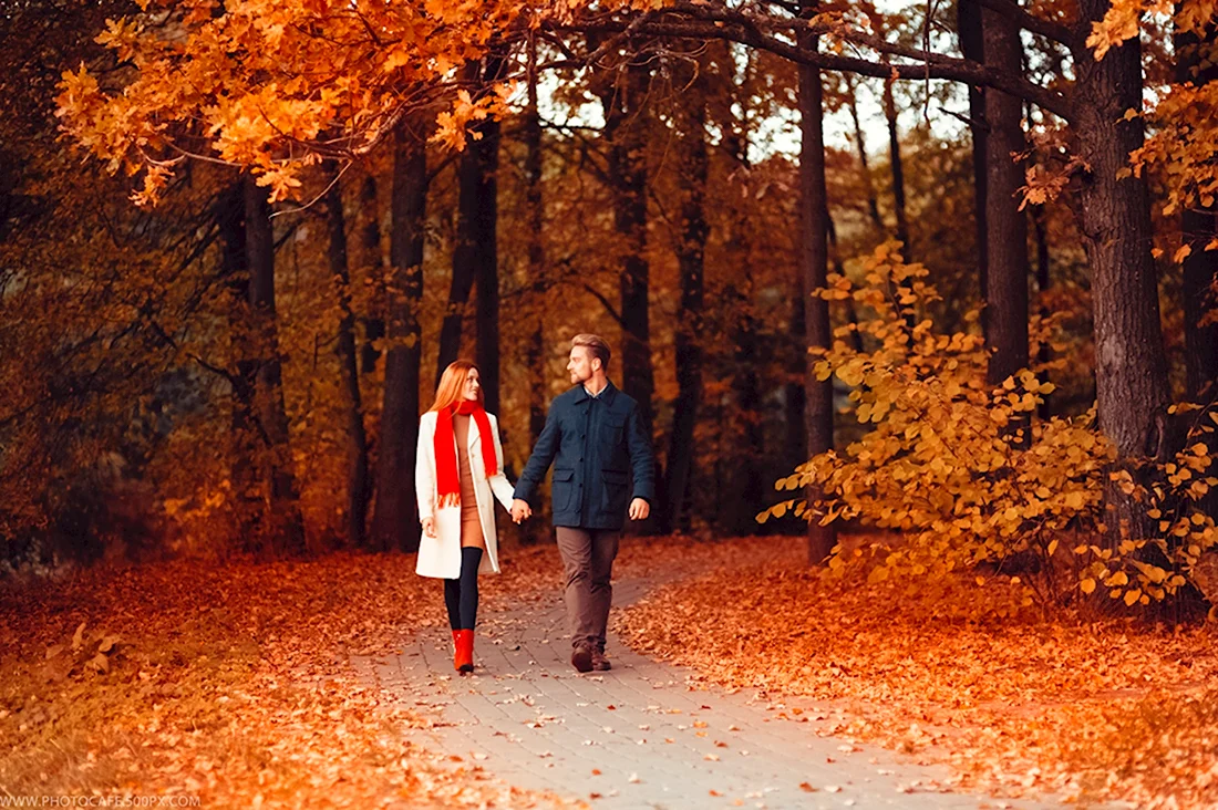 Пара гуляет в парке осенью