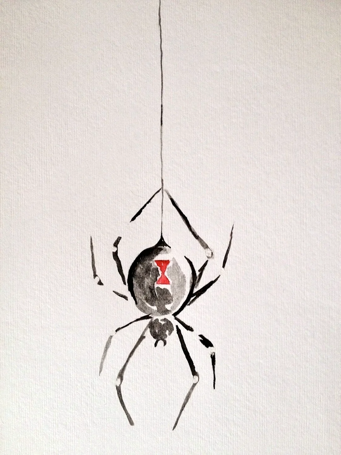 Паук спускается на паутине