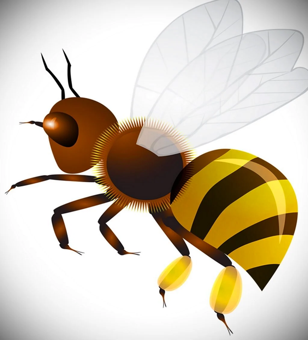Пчела для детей