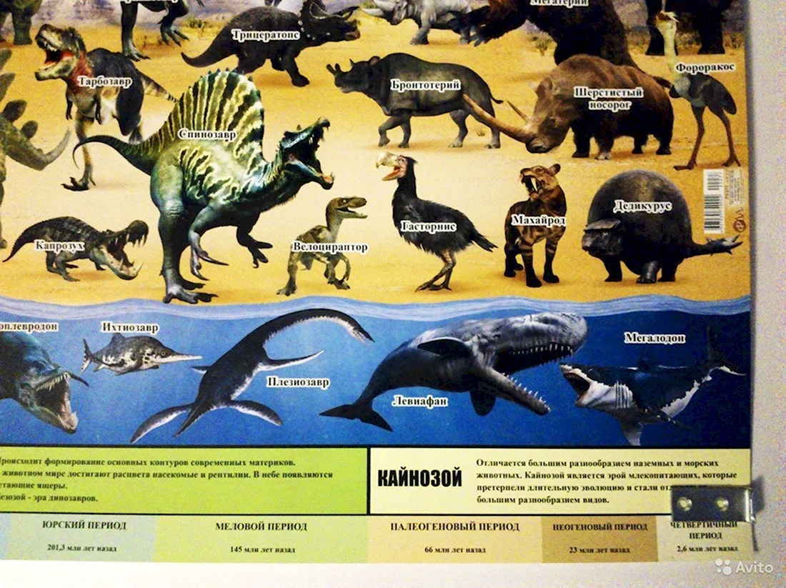 Плакат динозавры