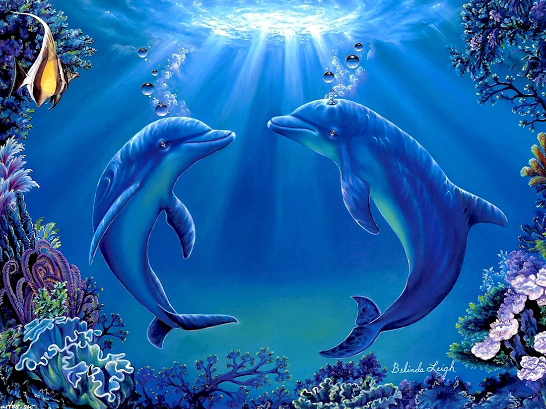 Подводный мир дельфины