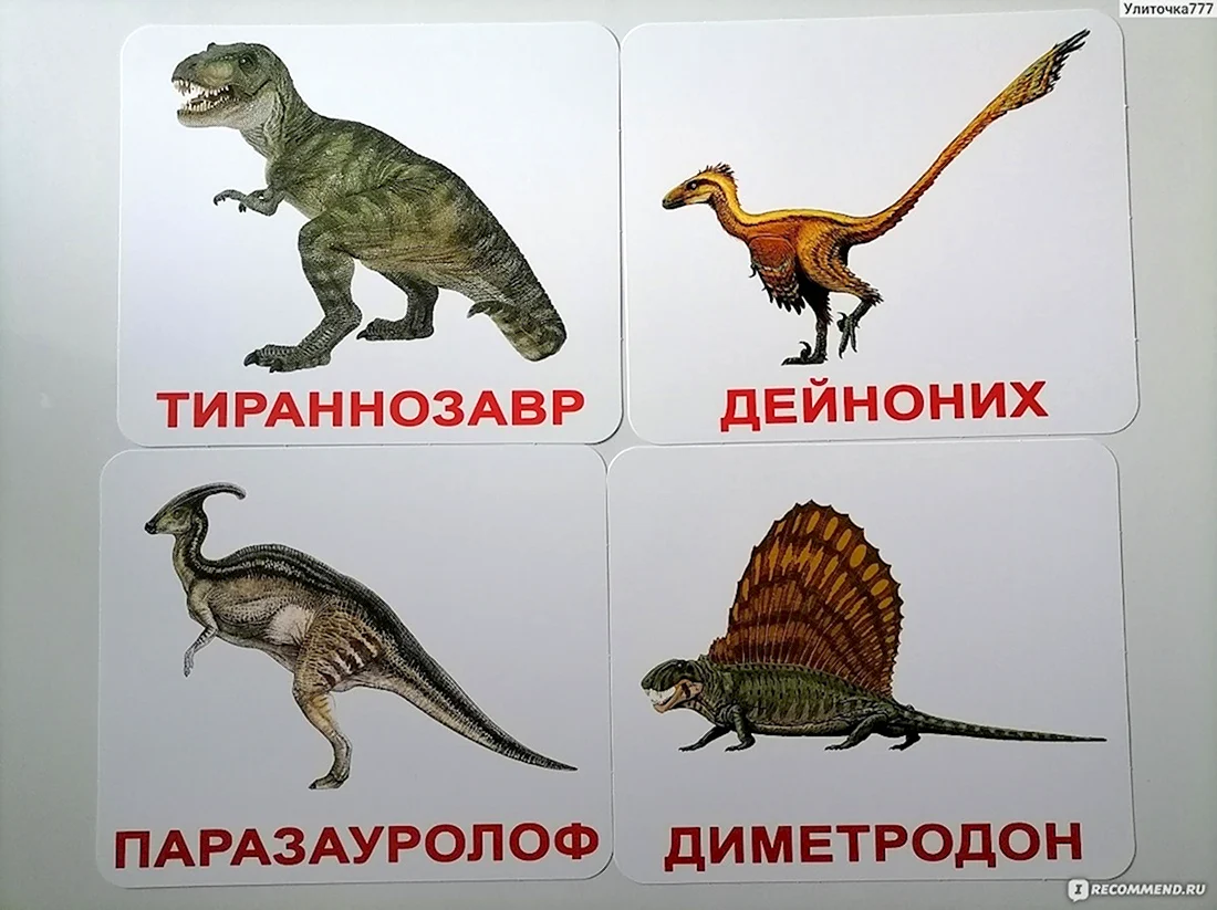 Покажи все виды динозавров