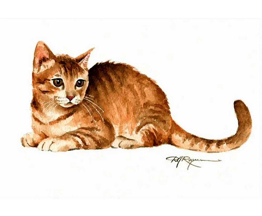 Полосатая кошка акварель