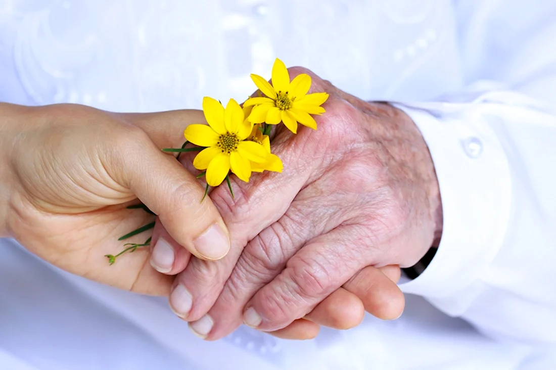 Пожилые руки с цветами