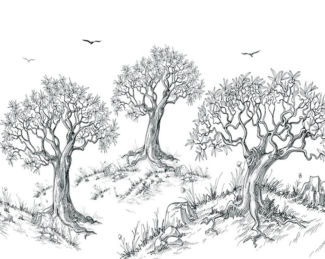 Природа и деревья рисунок корандашь