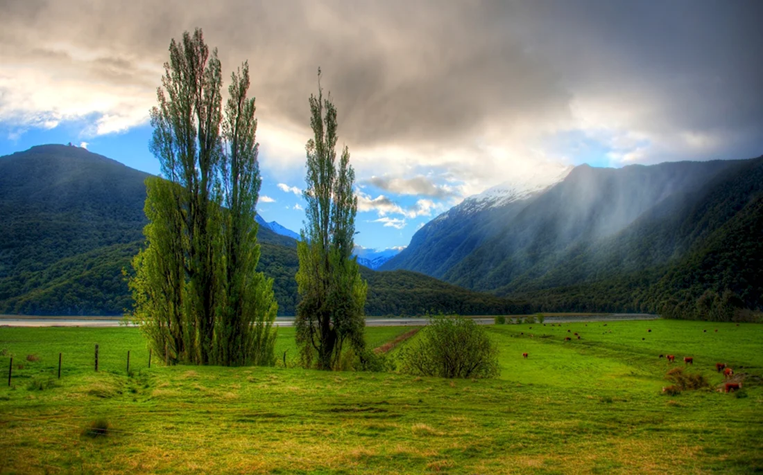 Природа новой Зеландии горы