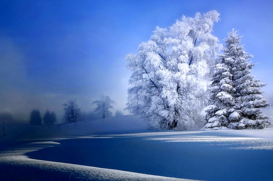 Природа зима
