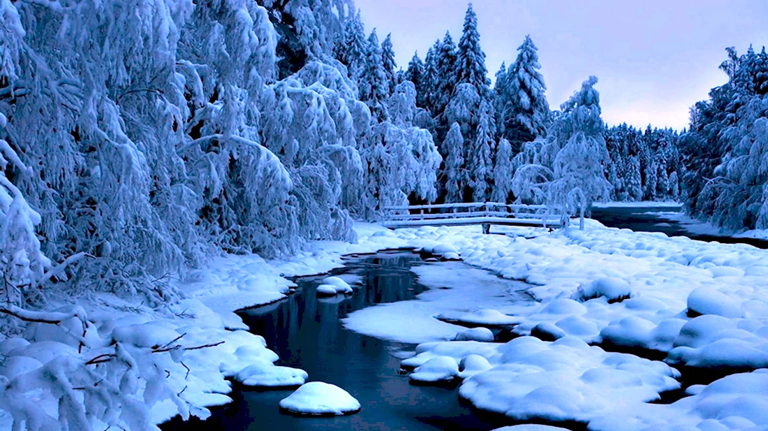 Природа зимой