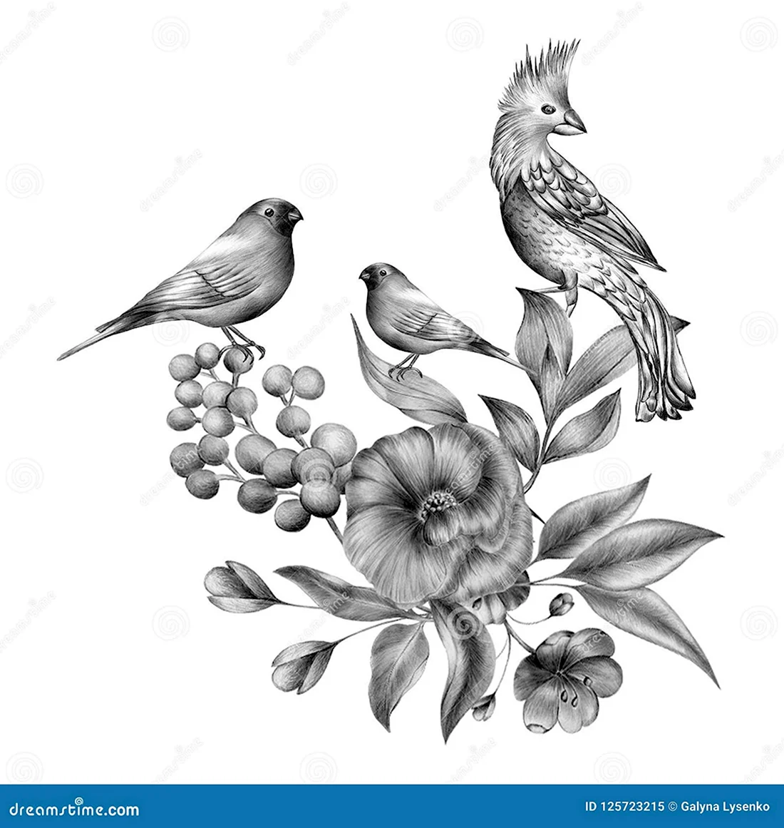 Птички с лентой рисунок карандашом