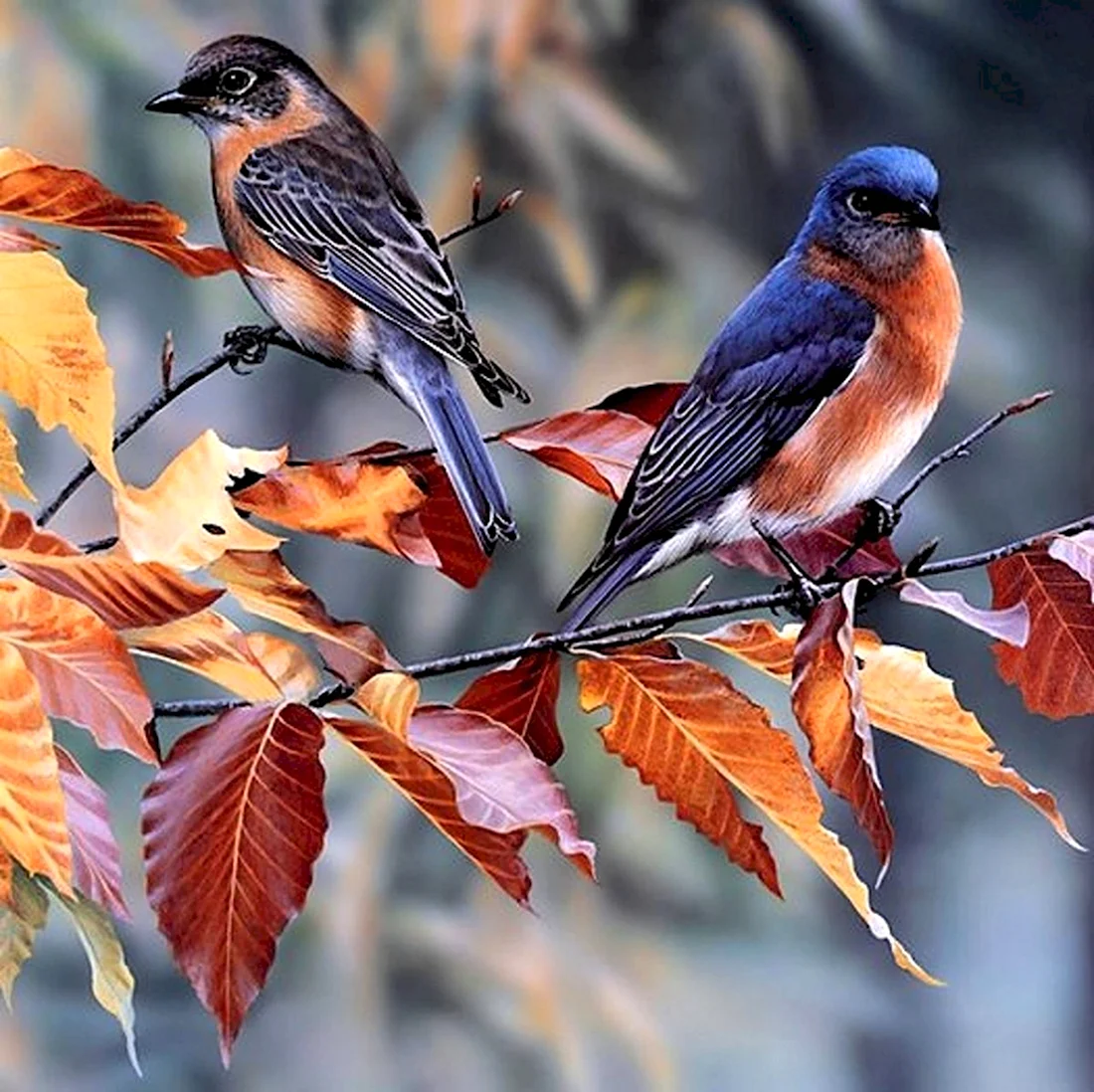 Птицы осенью