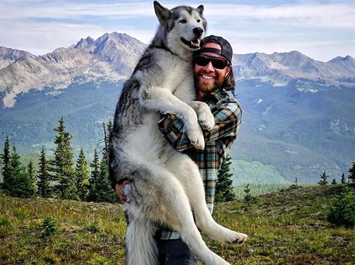 Путешественник с собакой в горах
