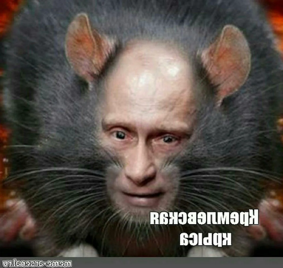 Путин мышь