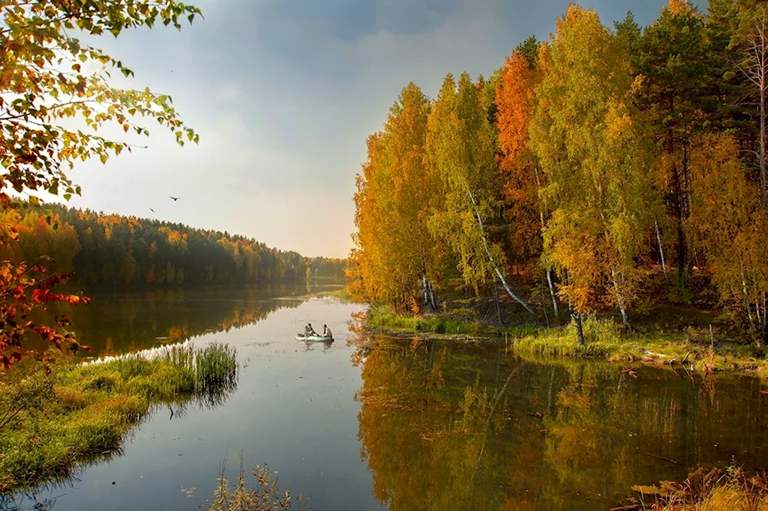 Река Тулва осень