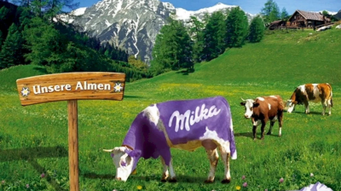 Реклама Милка с коровой