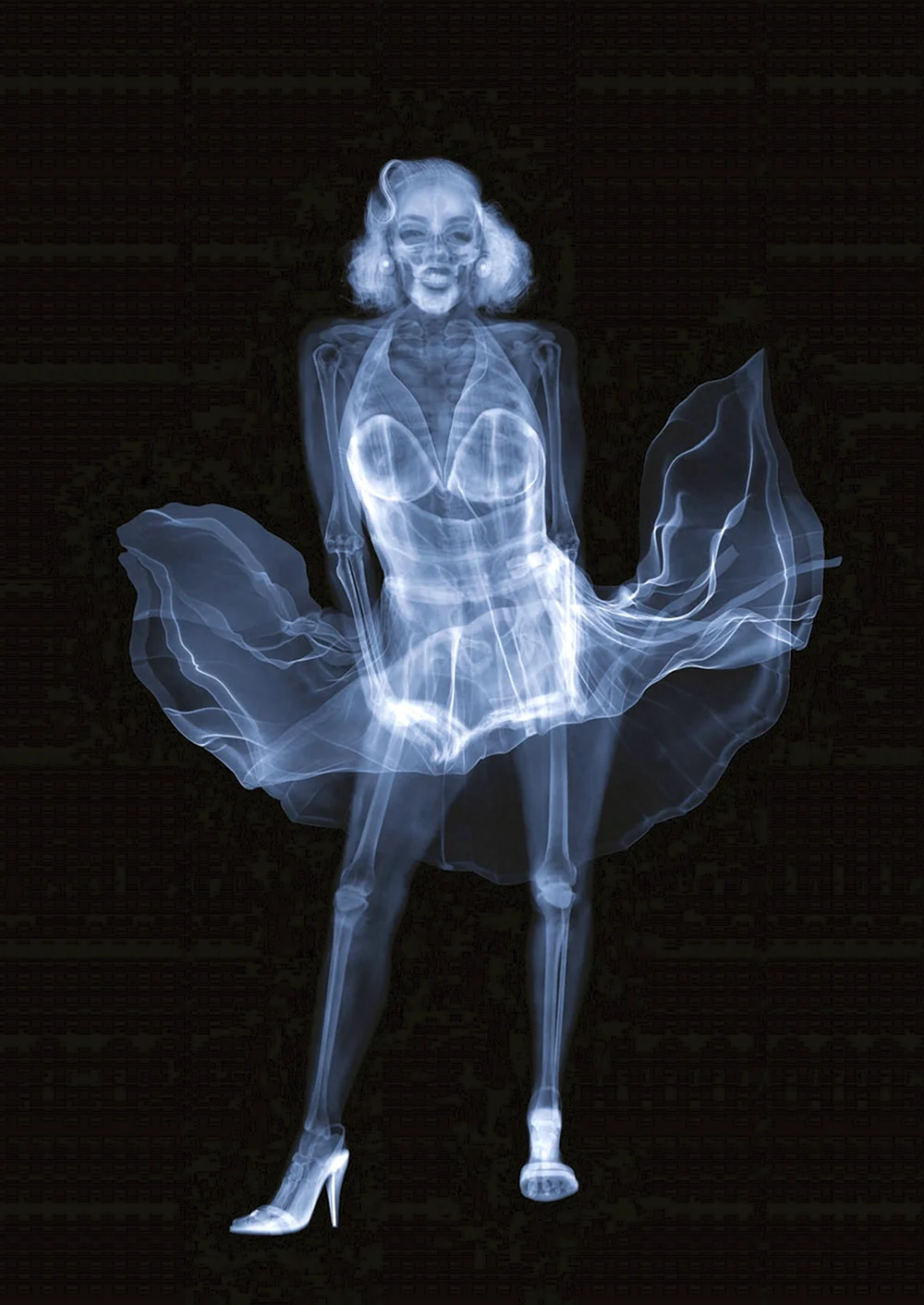 Рентгеновские снимки Ника визи