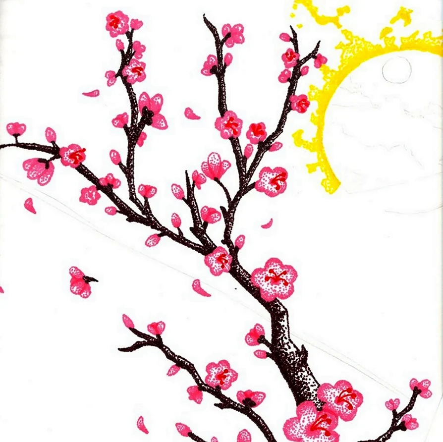 Рисование ветки цветущей Сакуры