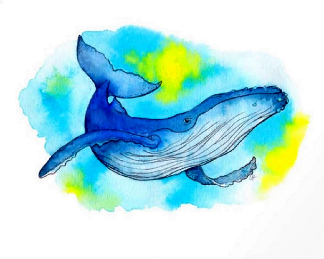 Рисуем синего кита в старшей группе