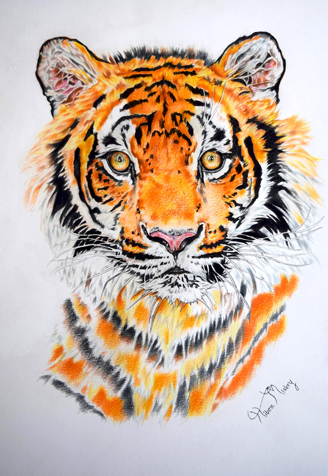 Рисуем тигра