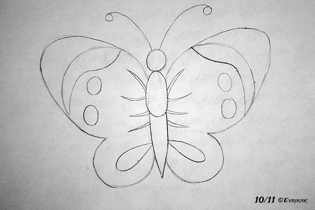 Рисунки бабочки легкие