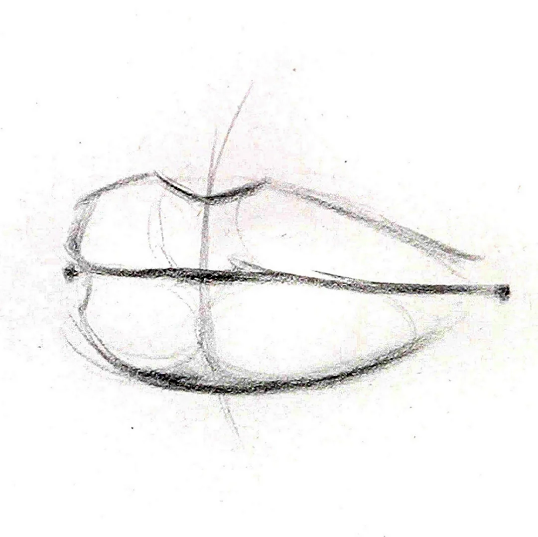 Рисунки для срисовки карандашом лёгкие для начинающих губы поэтапно