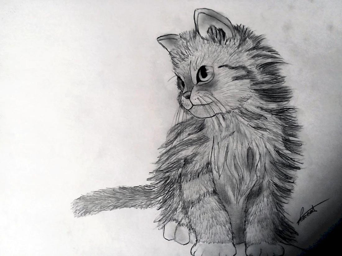 Рисунки маленьких котят карандашом