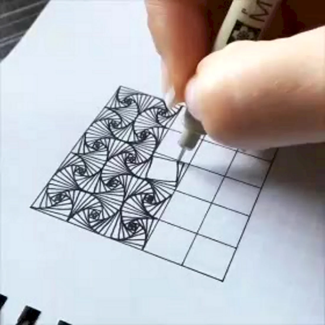 Рисунки по клеточкам чёрной ручкой