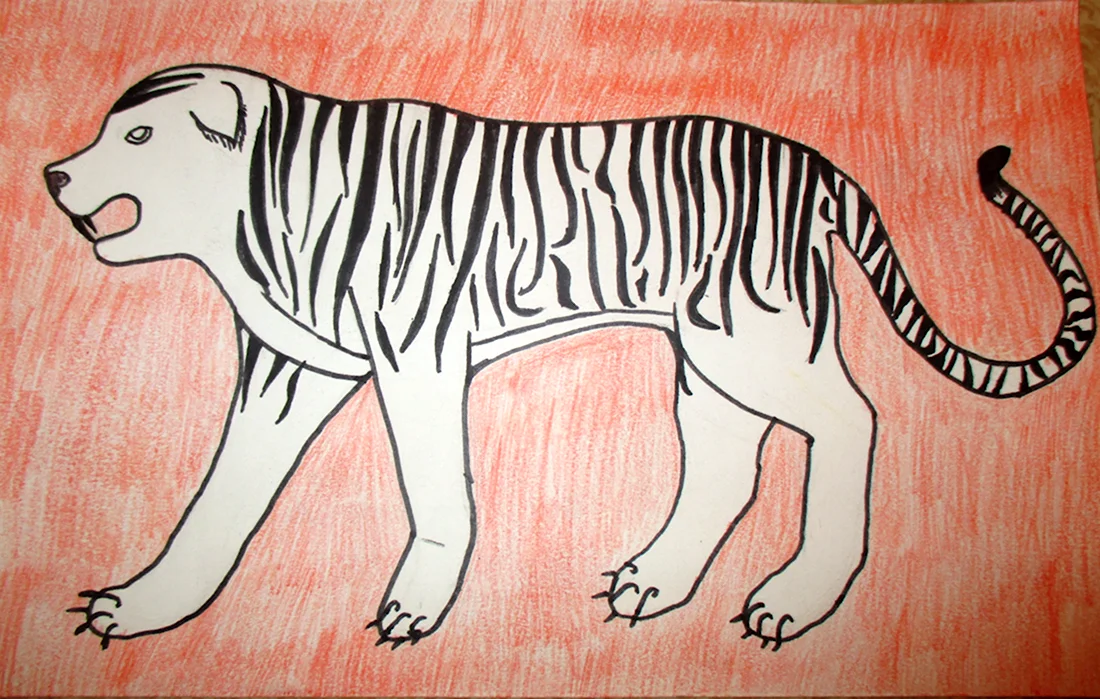 Рисунок бенгальского тигра