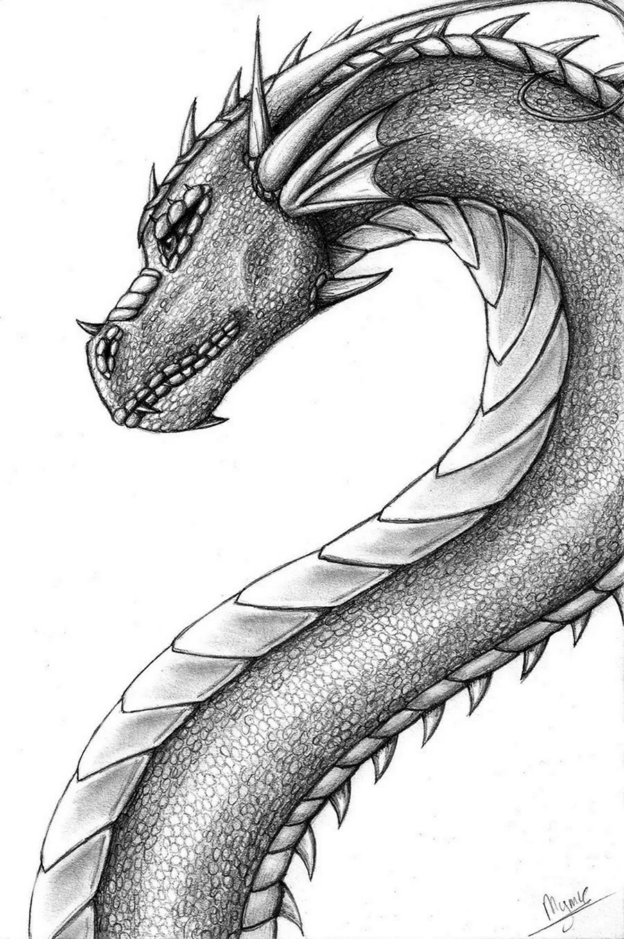 Рисунок длинного дракона карандашом