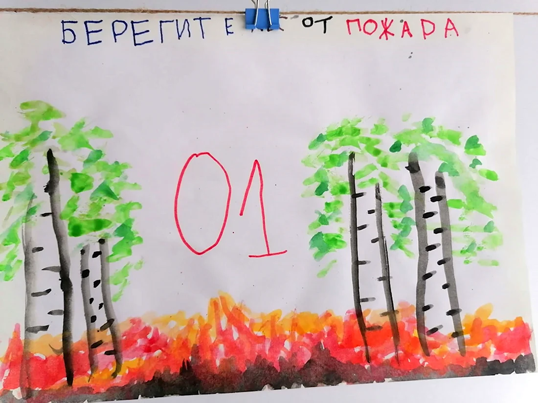 Рисунок в детский сад берегите лес