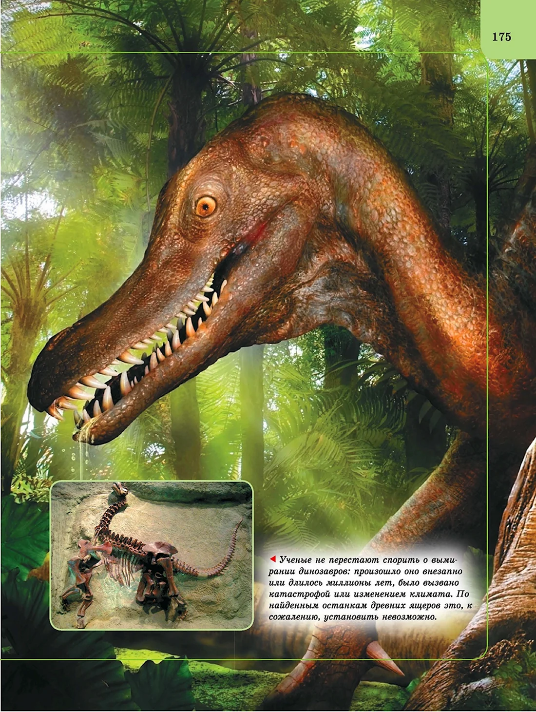 Роберт маш динозавры короли мезозоя