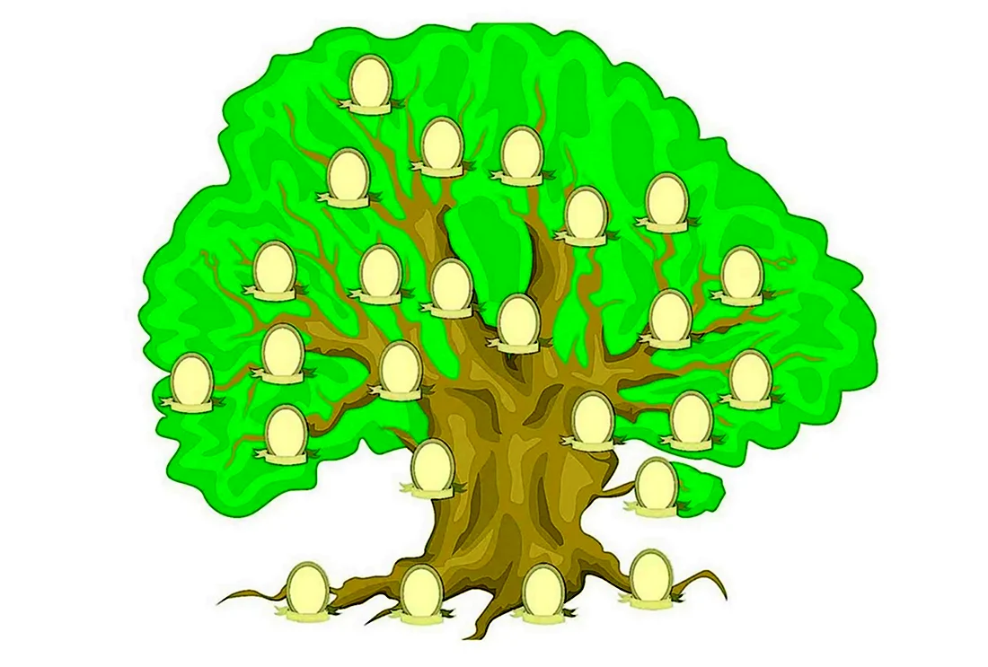 Родословная дерево