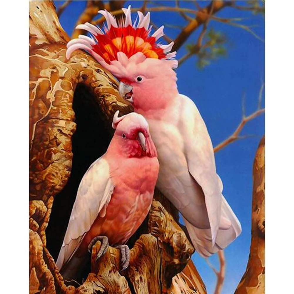 Розовые попугаи живопись
